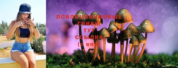стафф Аркадак