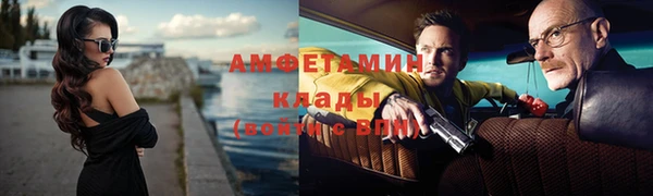стафф Аркадак