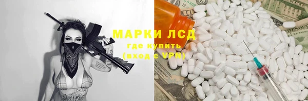 стафф Аркадак