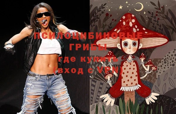стафф Аркадак