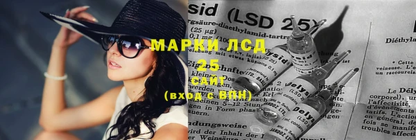 стафф Аркадак